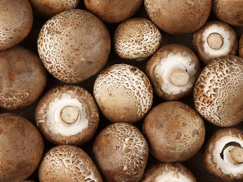 Cremini Mushrooms Substitutes
