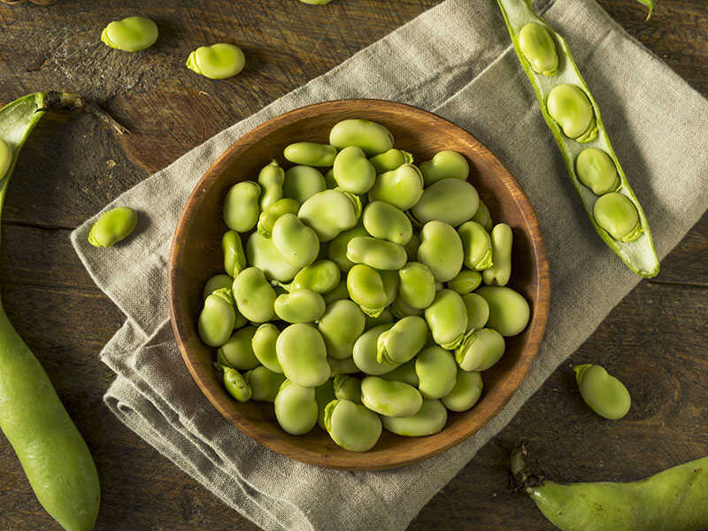 Fresh Green Fava Beans