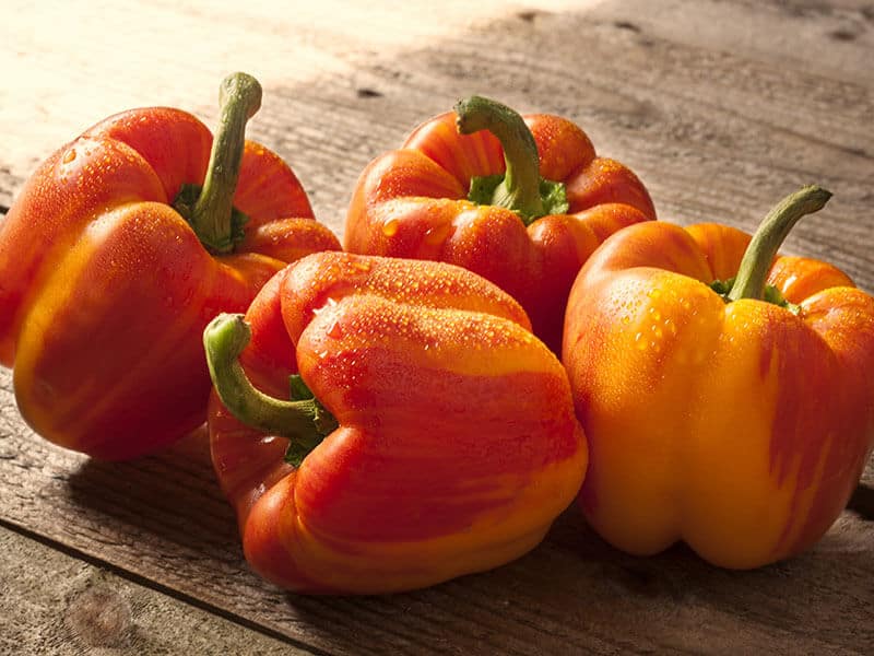 Holland Sweet Peppers