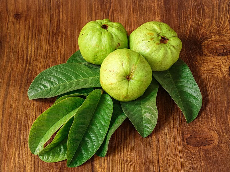 Indonesian Guava