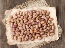 Pinto Beans Substitute