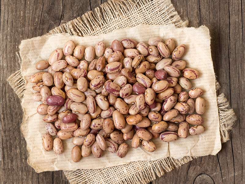 16 Pinto Beans Substitutes