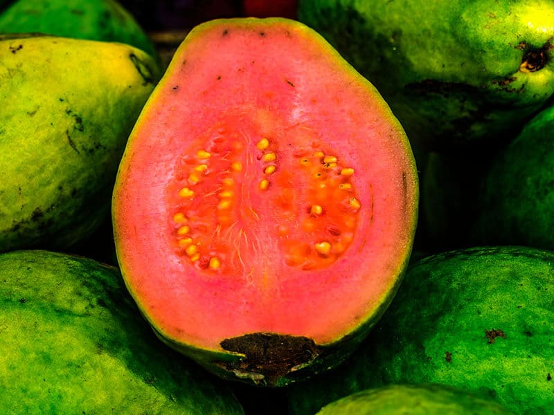 Ruby Supreme Guava