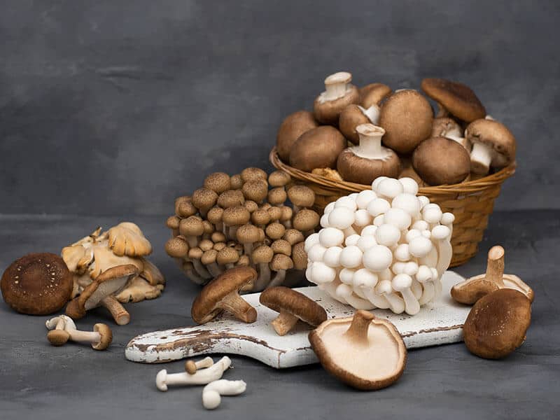 Shiitake Mushrooms Substitutes