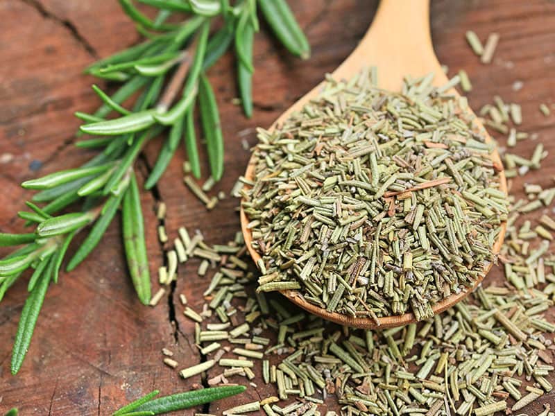 Spoon of Dried Rosemary