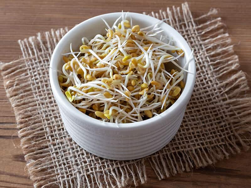 Sprouted Fenugreek