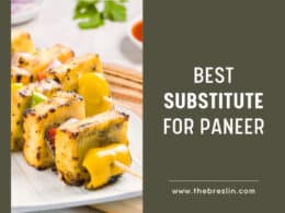 Substitute For Paneer