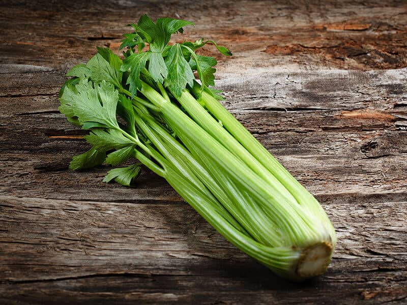 Vegetables Fresh Celery